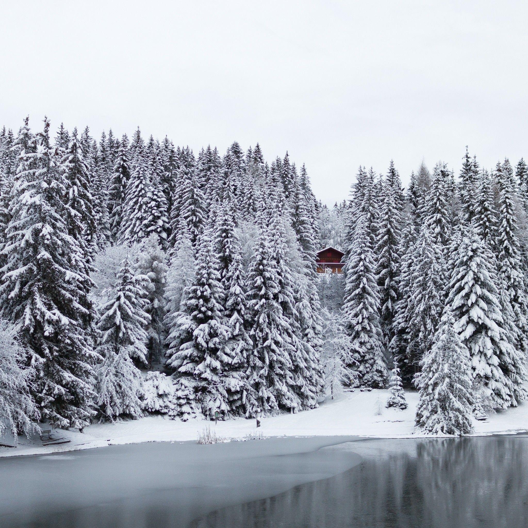 2048x2048 Snow iPhone Wallpaper