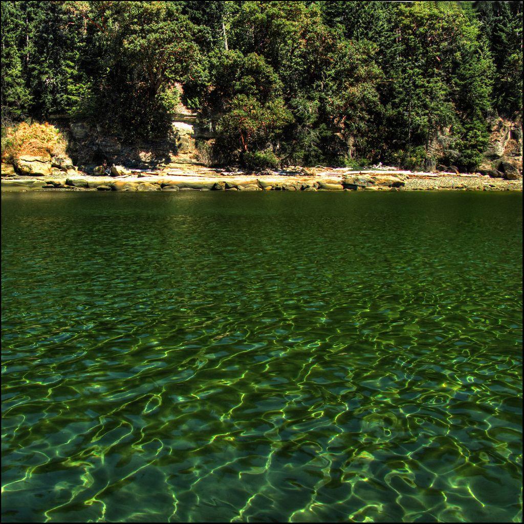 1024x1024 Summer iPad Wallpaper