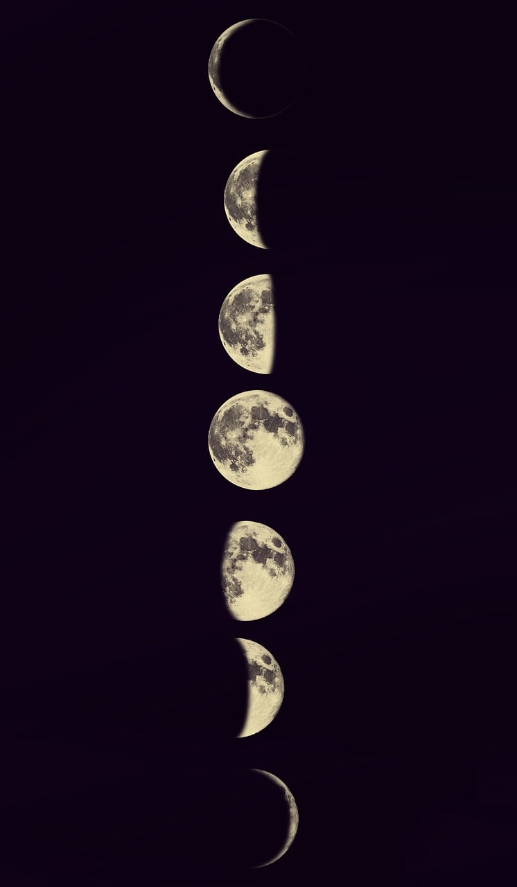 746x1280 Free Moon Cycle & Moon Image