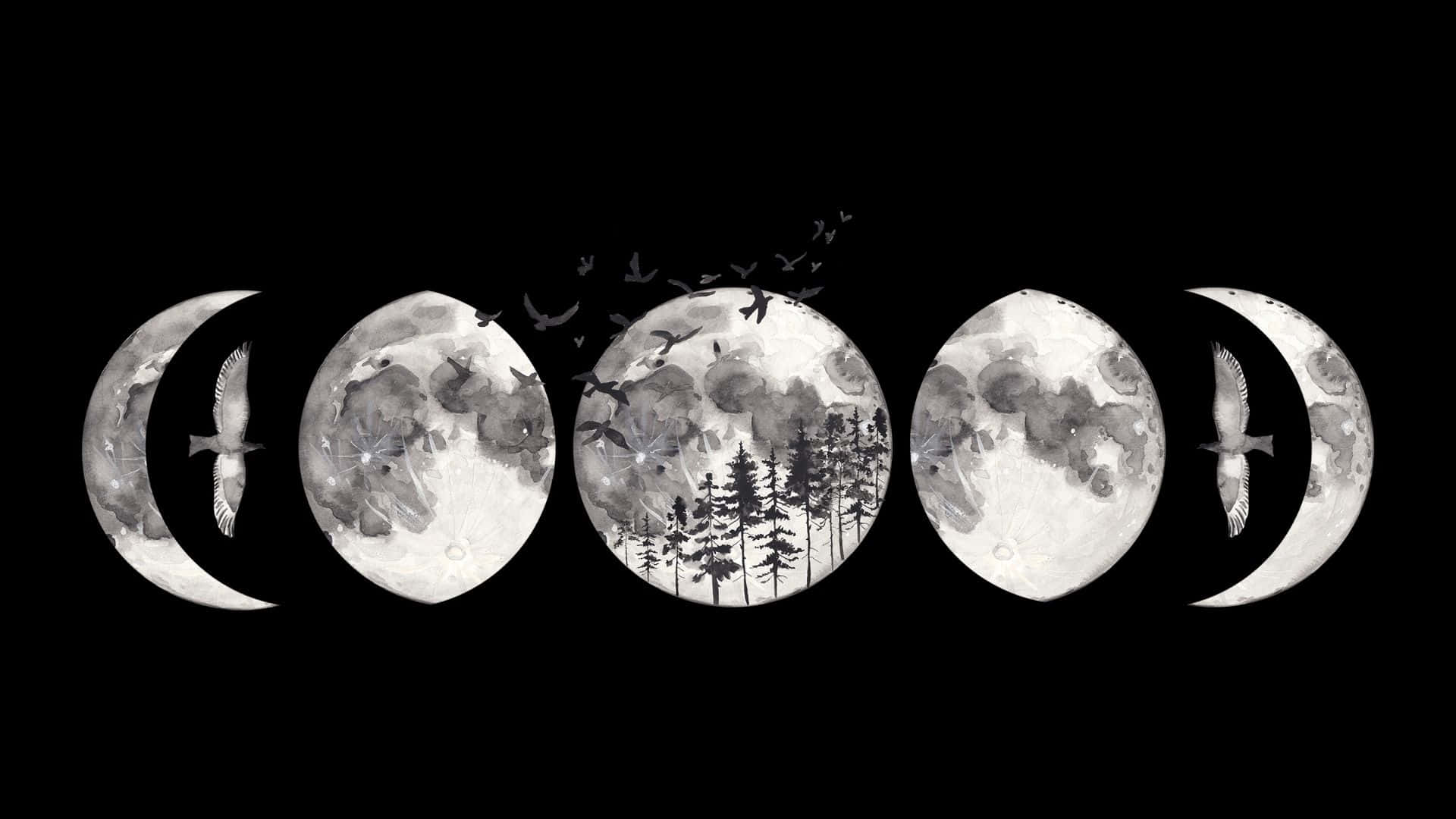 1920x1080 Moon Phase Wallpaper