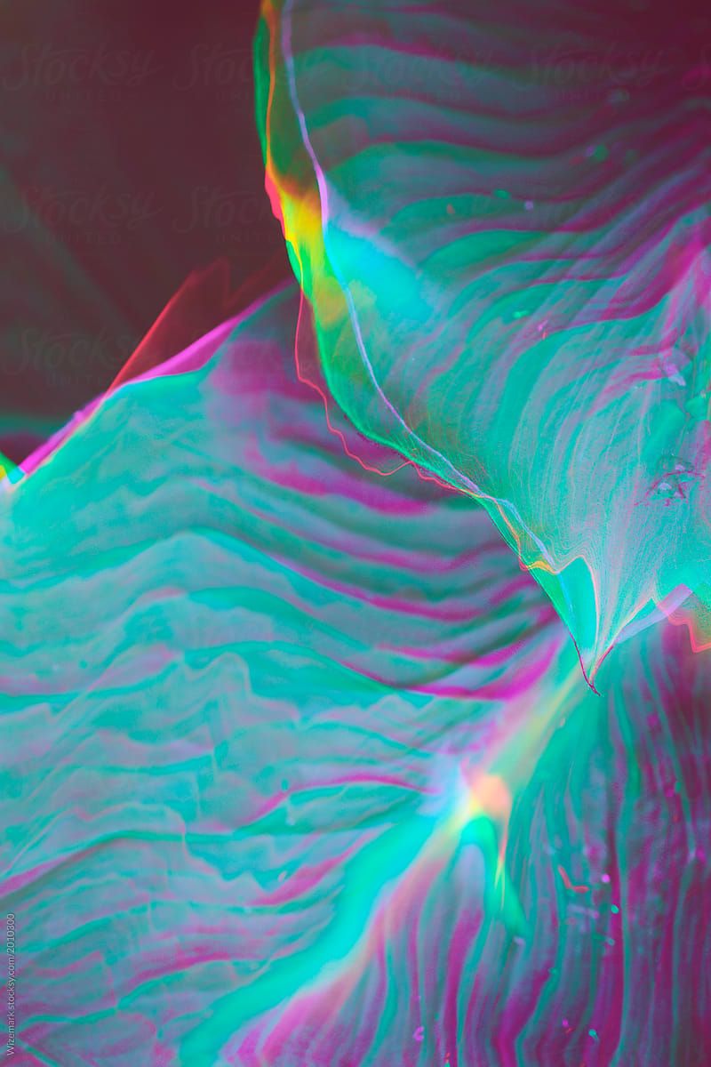 800x1200 Vibrant, Colorful Plant Background Wallpaper- Stocksy
