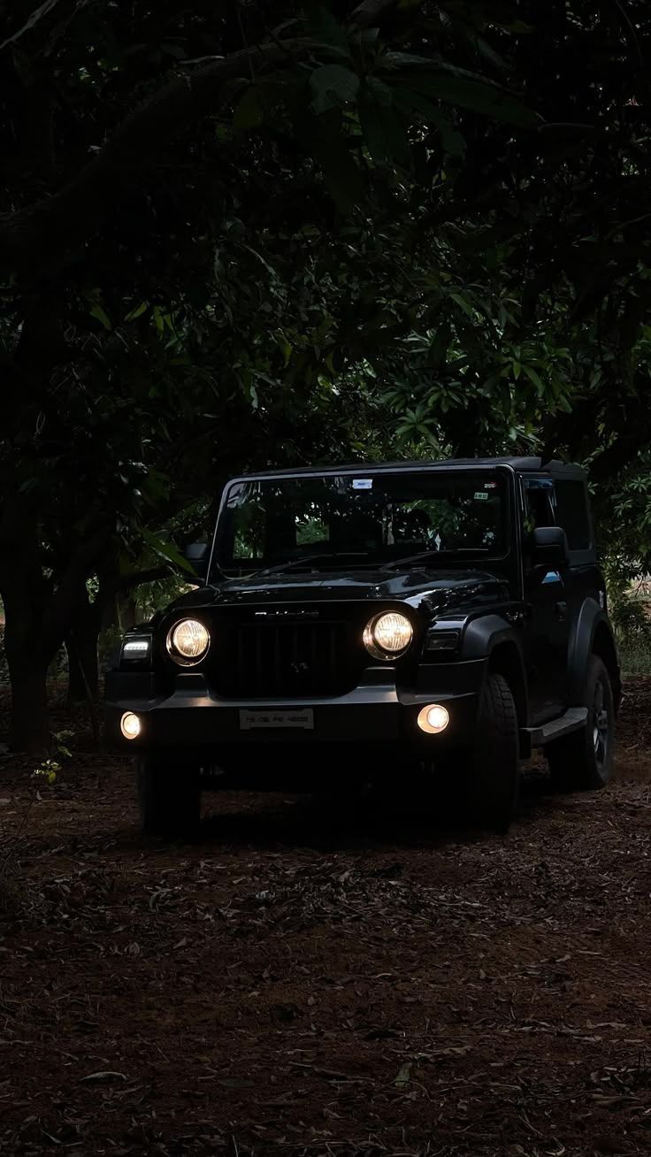 736x1308 Mahindra Thar Jeep in the Woods