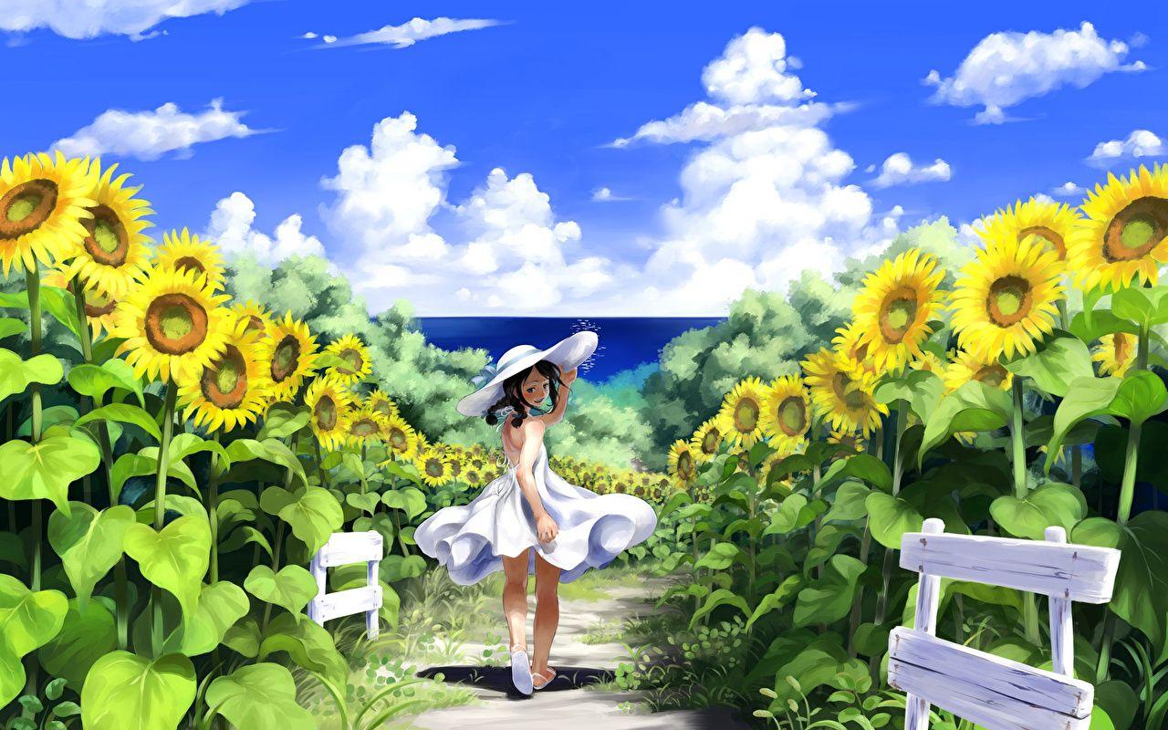 1280x800 Image imaoka (pixiv), original Hat Girls Anime Fields Sunflowers