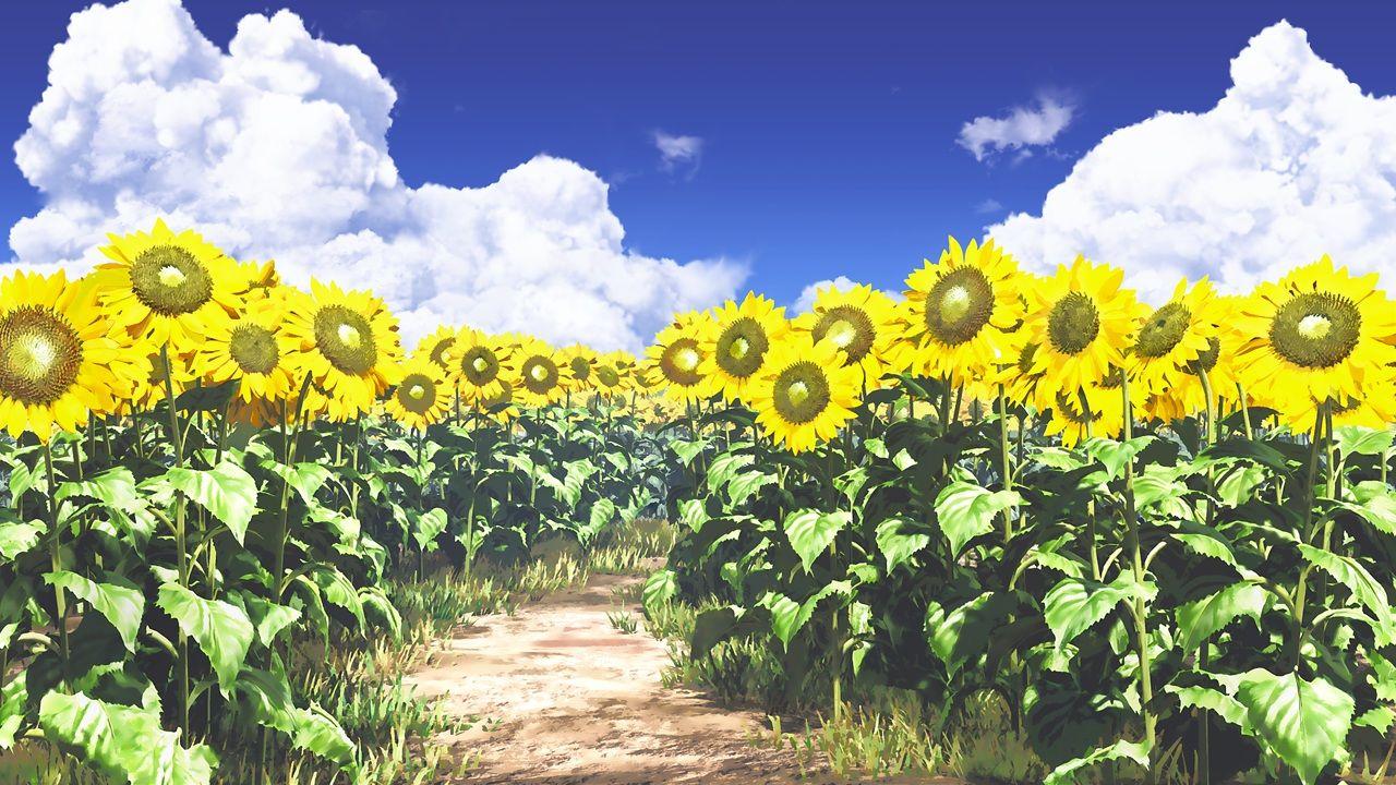 1280x720 clouds flowers grass ihara asta nobody original scenic sky