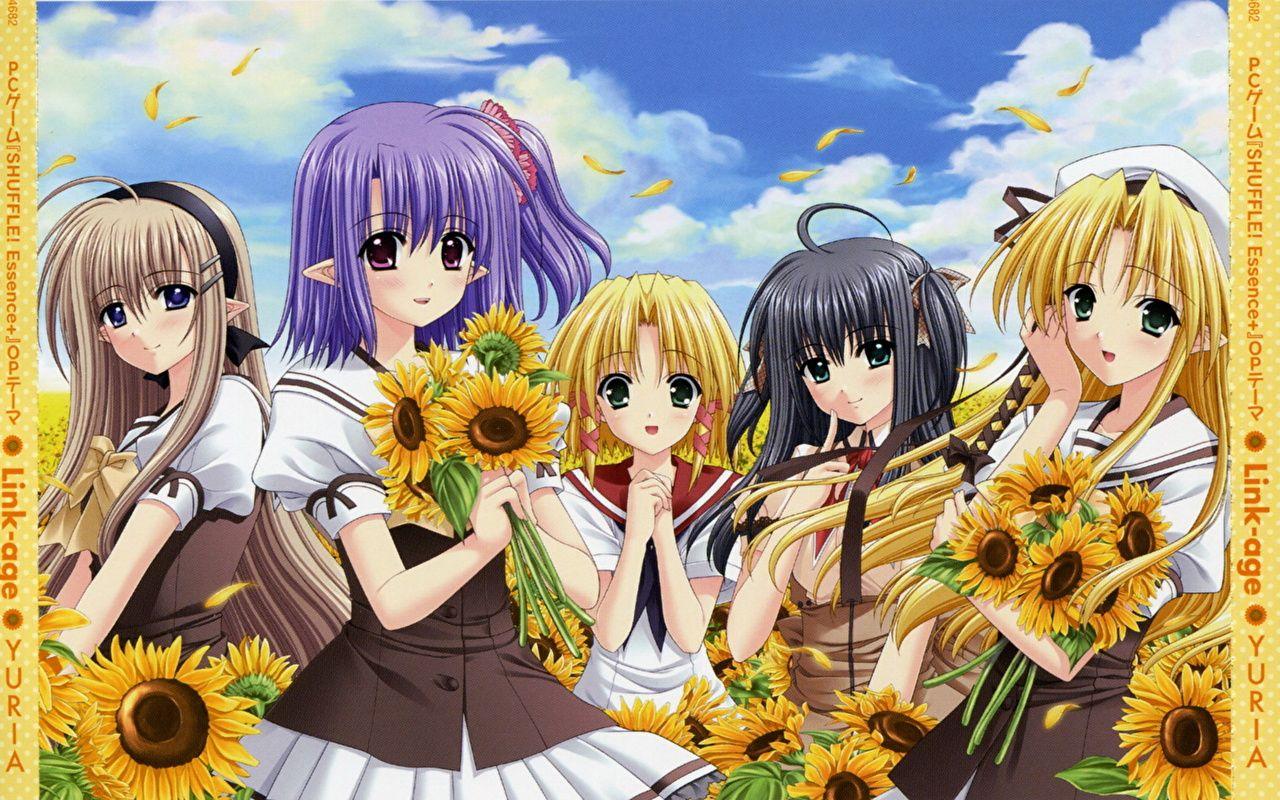 Anime Sunflower Wallpapers - Top Free Anime Sunflower Backgrounds