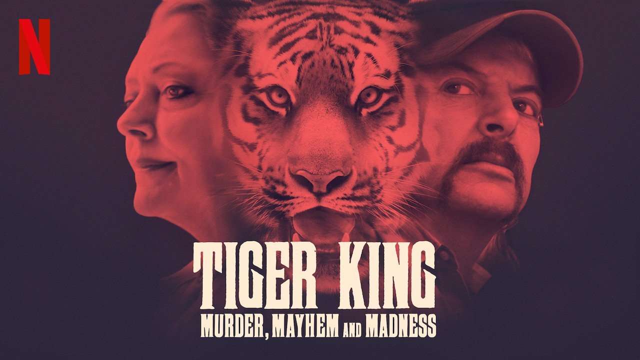 Tiger King Wallpapers - Top Free Tiger ...
