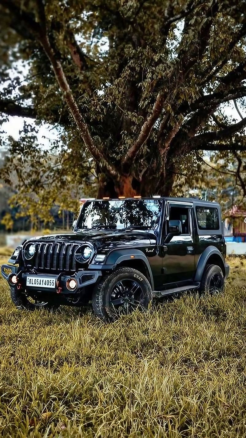 800x1422 Mahindra Thar Car, Parked On Green Grass, car parked on green grass, black car, HD phone wallpaper