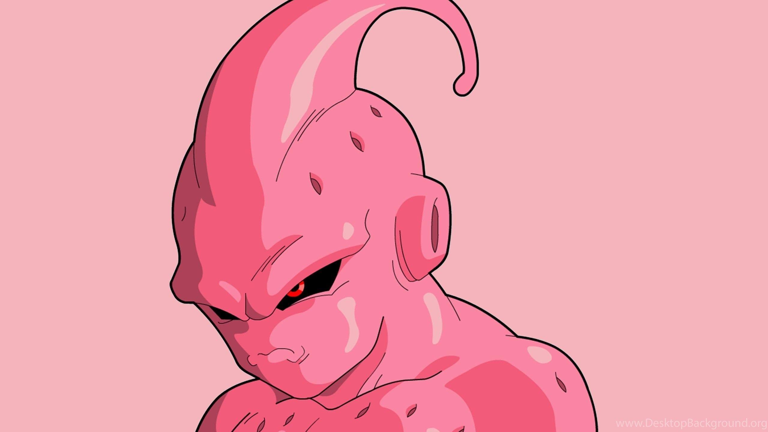 2560x1440 Majin Buu Kid Buu Wallpaper Desktop Background