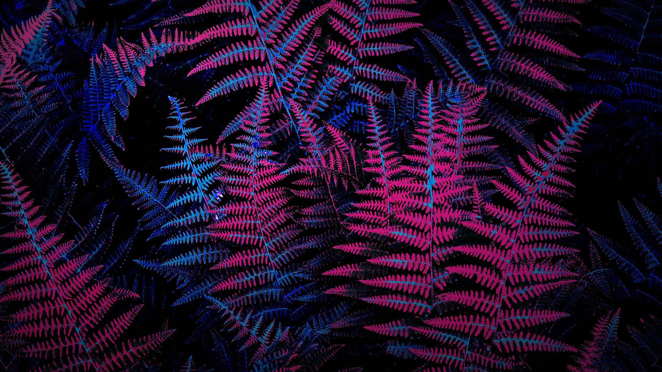 2560x1440 Neon Plants Wallpaper