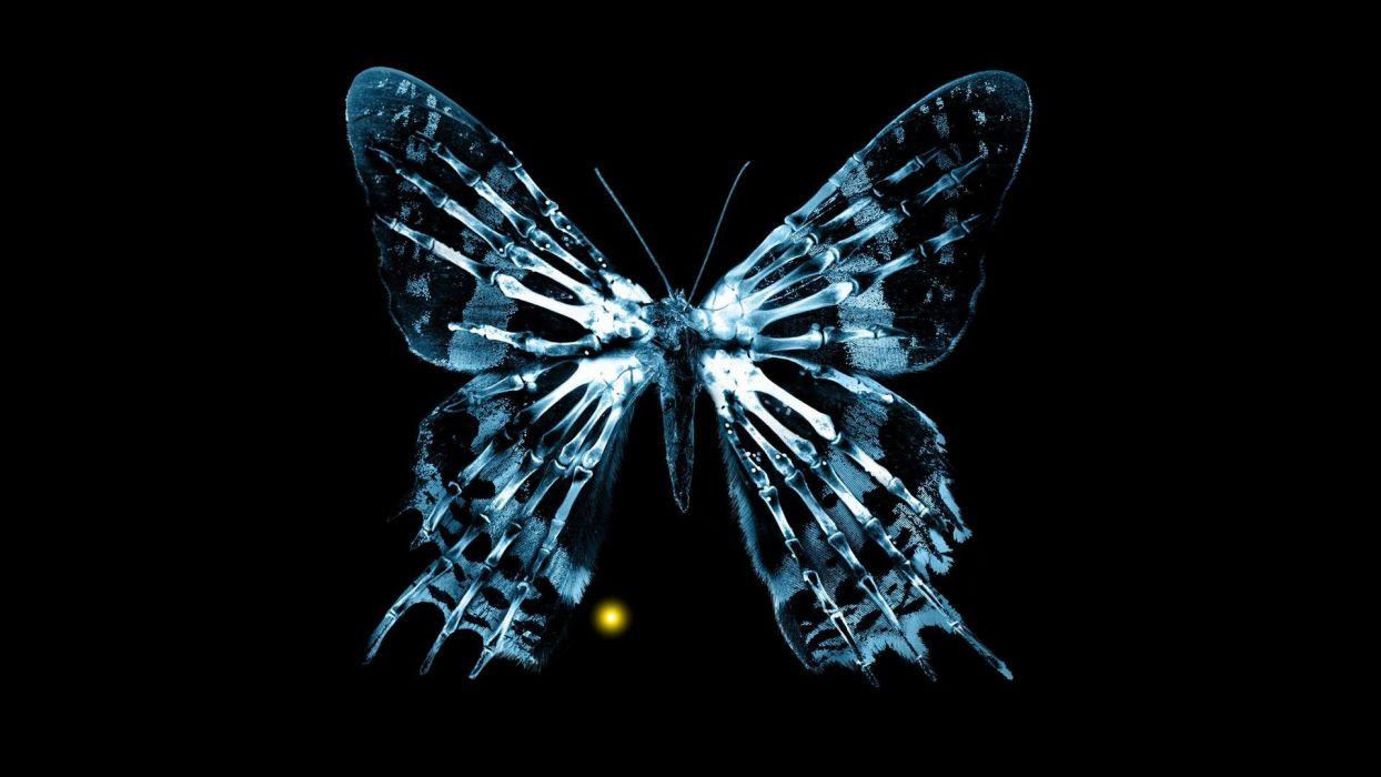 1244x700 Fringe butterflies wallpaperx1080