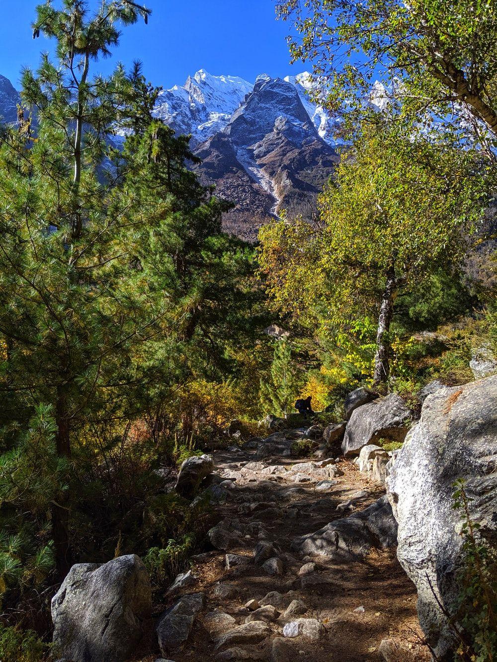 1000x1333 Uttarakhand India Picture. Download Free Image