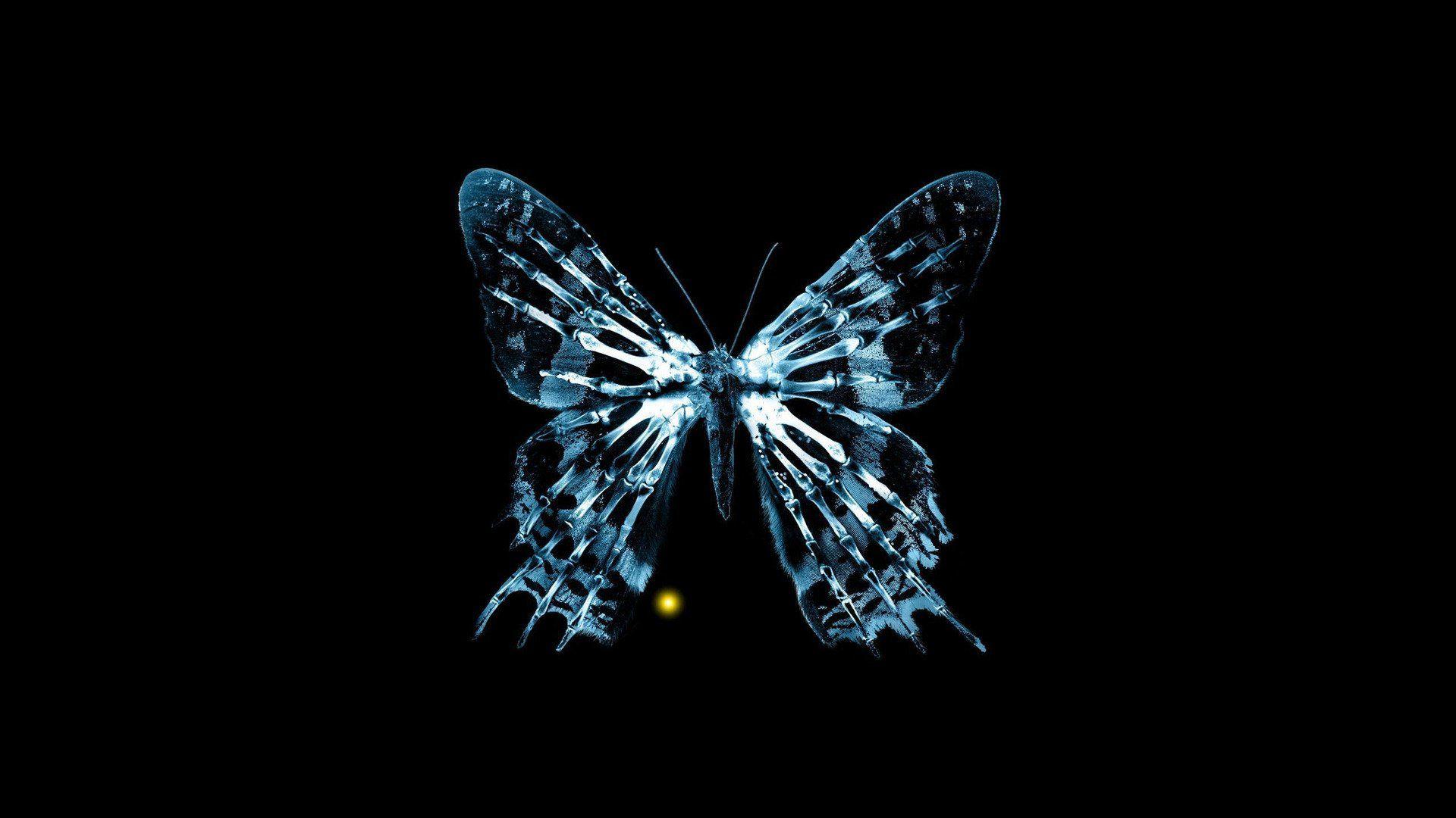 1920x1080 Fringe Butterfly 541497