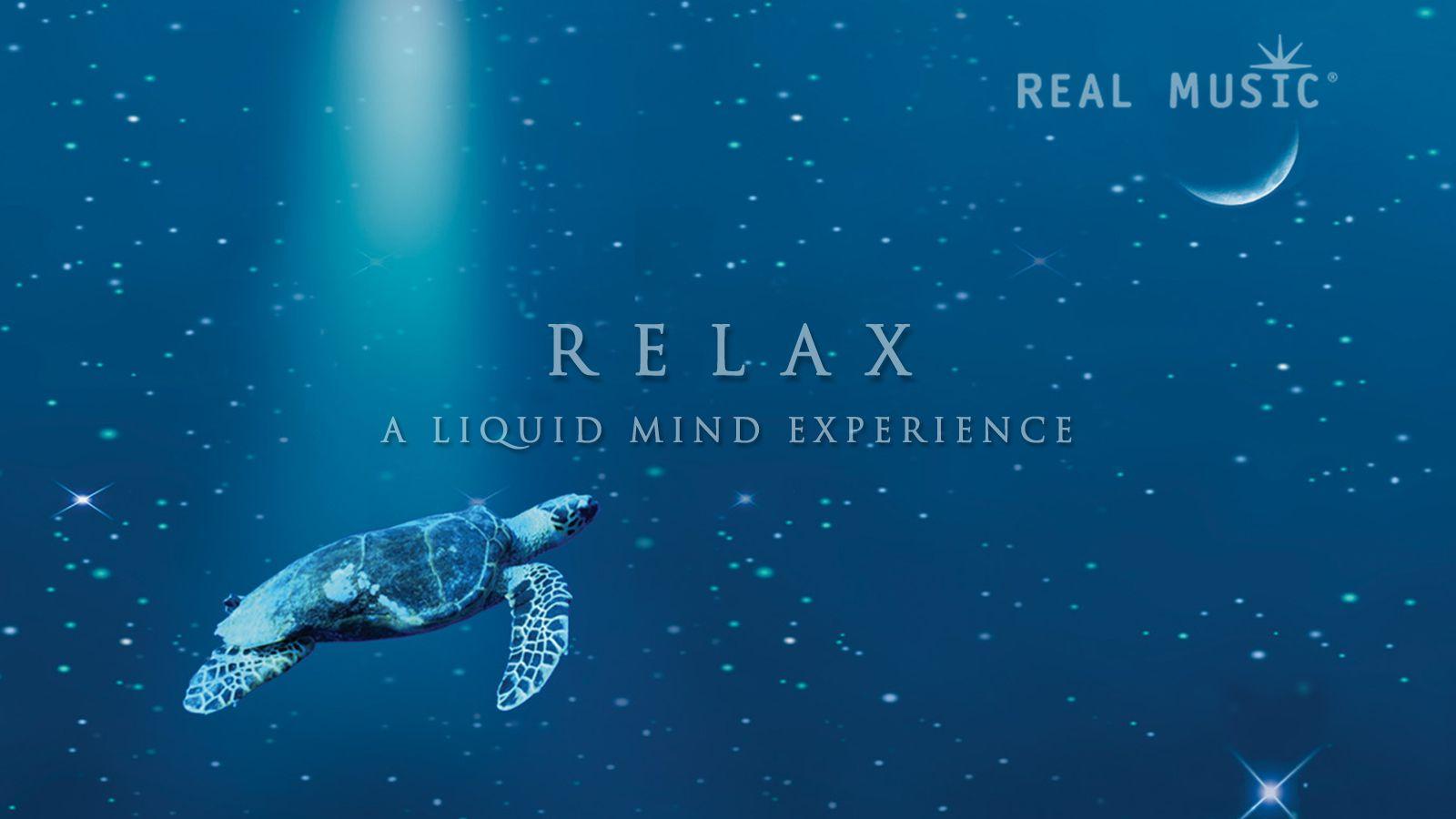 1600x900 Mind Relaxing Wallpaper