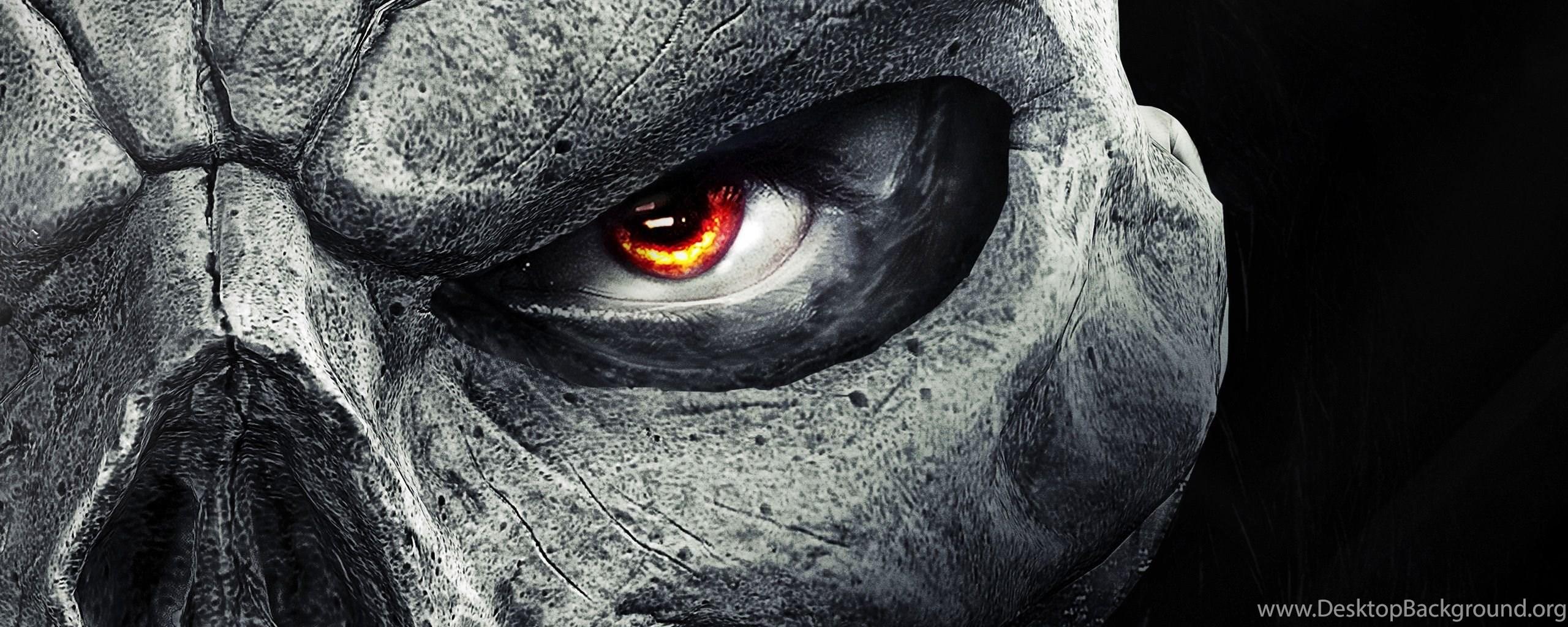 Animal Skull Wallpapers - Top Free Animal Skull Backgrounds