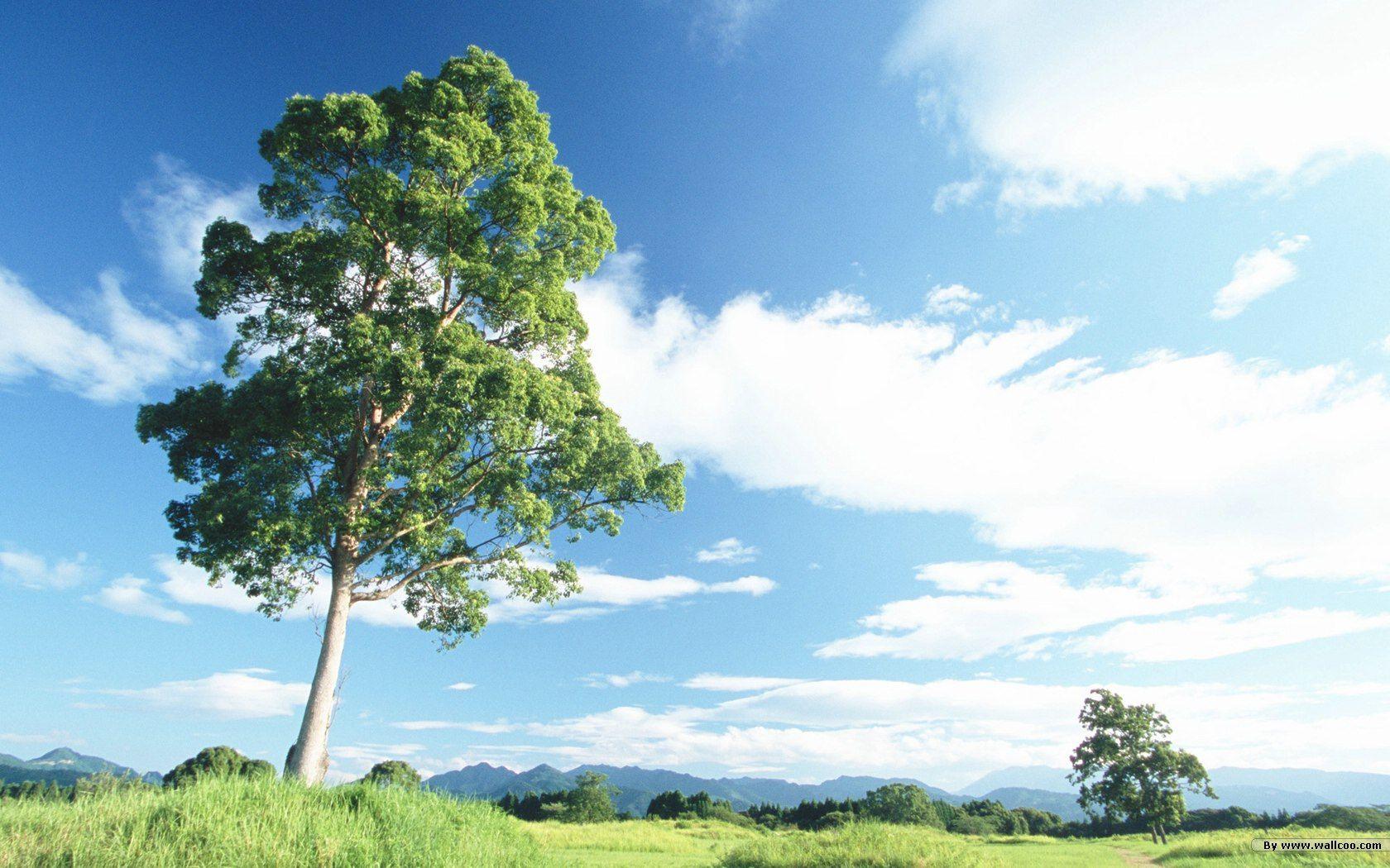 1680x1050 Feeling the Nature relaxation Wallpaper 1680x1050 NO.32