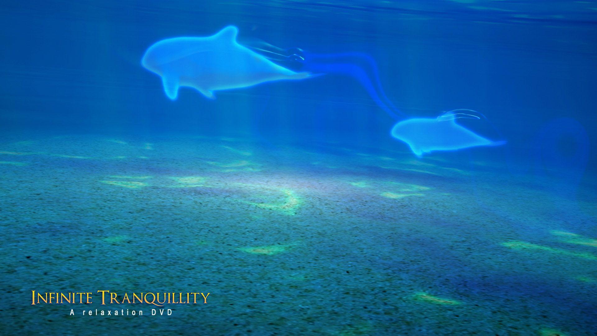 1920x1080 Infinite Tranquility. Download relaxation wallpaper