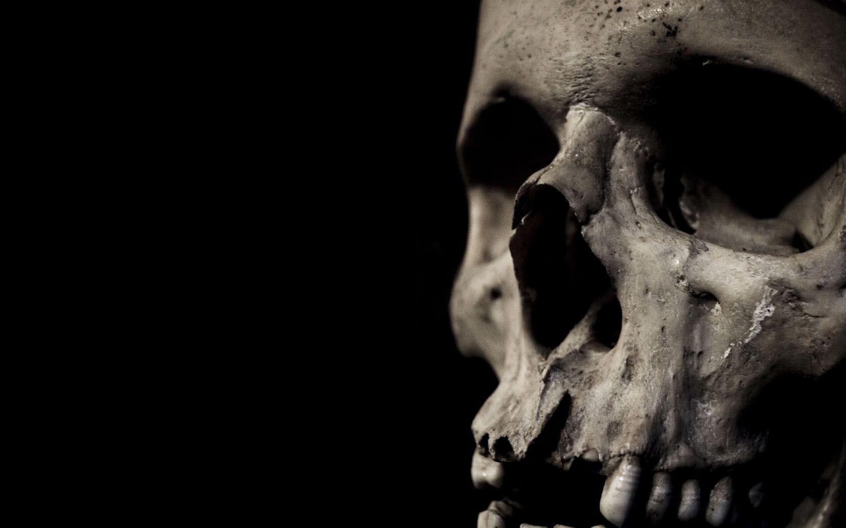 Human Skull Wallpapers - Top Free Human Skull Backgrounds - WallpaperAccess