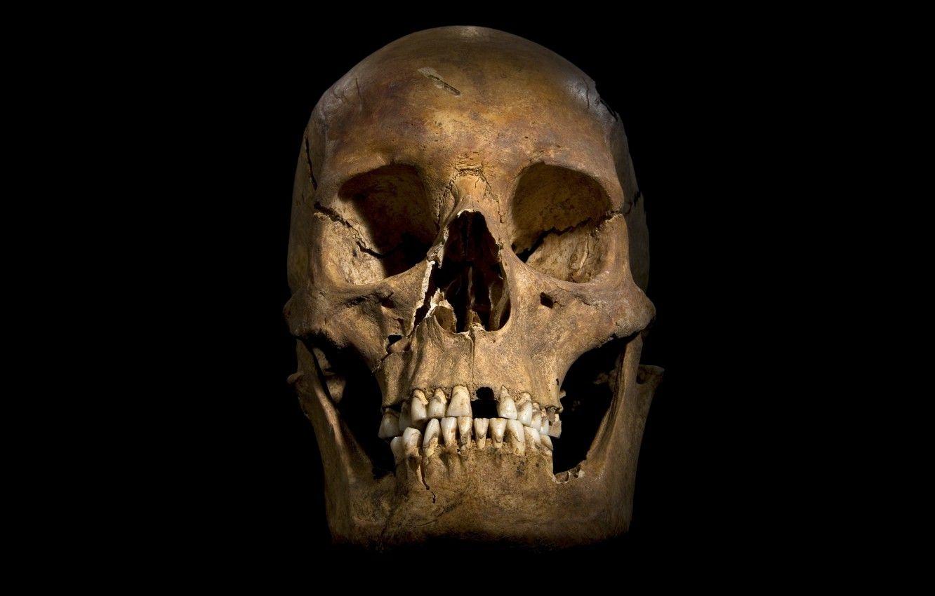 1332x850 Wallpaper sake, yellow, bones, human skull image for desktop