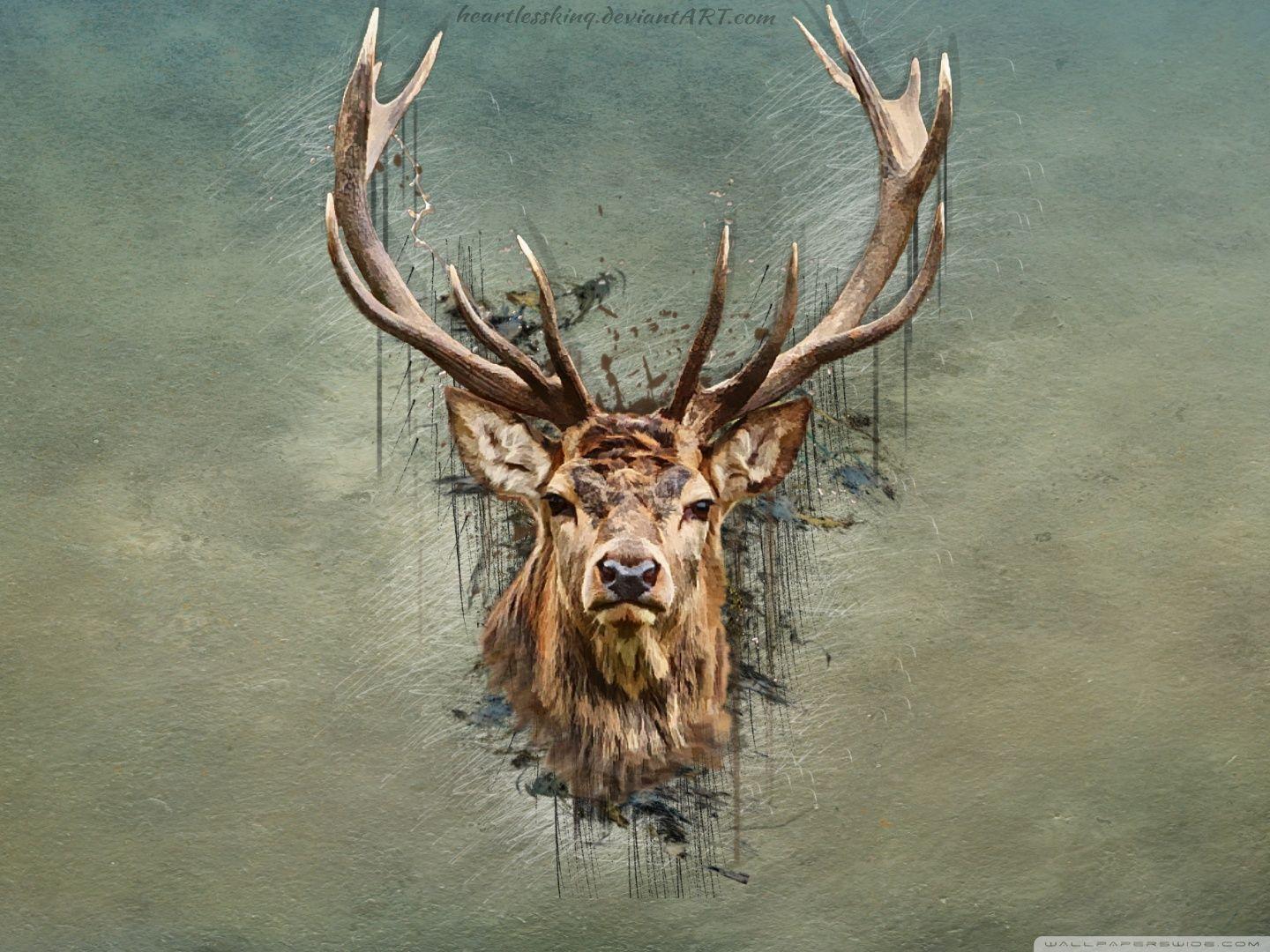 1440x1080 DEER Ultra HD Desktop Background Wallpaper for 4K UHD TV