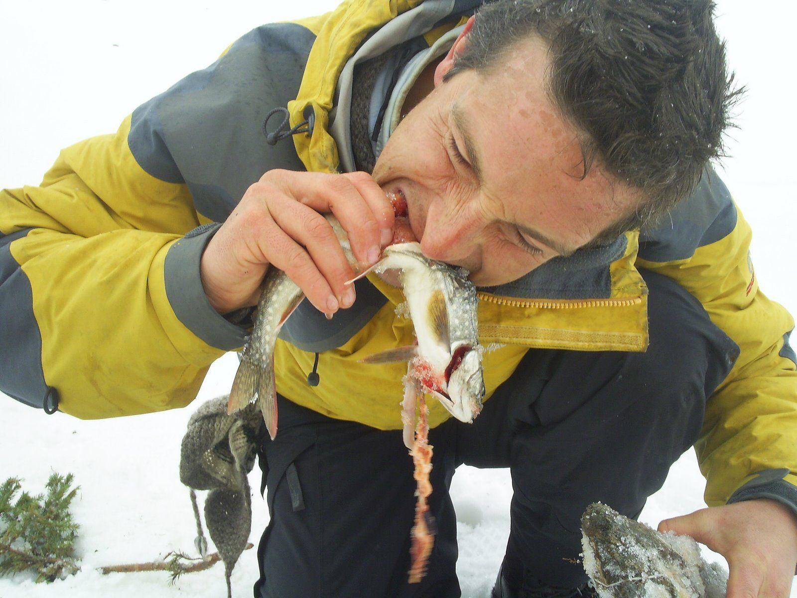 1600x1200 Download Original Grylls Eating Gross Things, HD Wallpaper