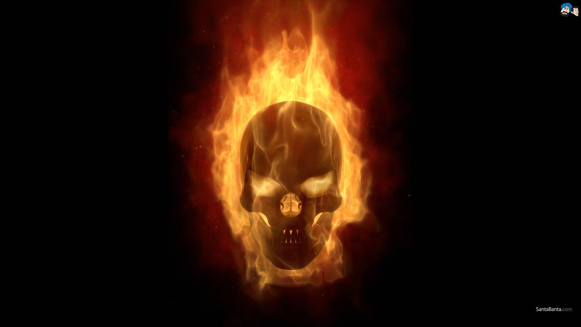 1920x1080 3D Skull Wallpaper