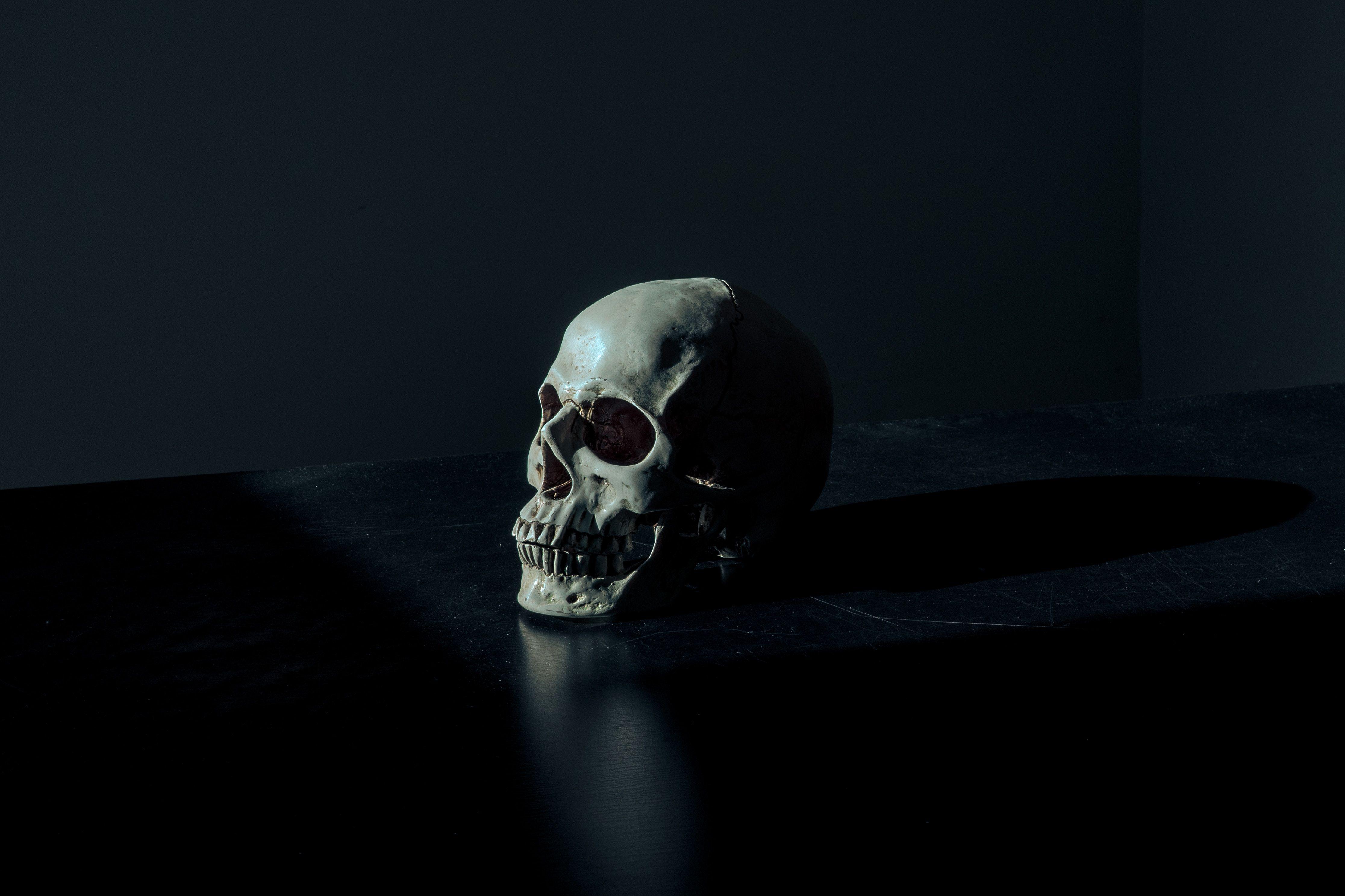 4466x2978 4466x2978 #Creative Commons image, #contrast, #dead