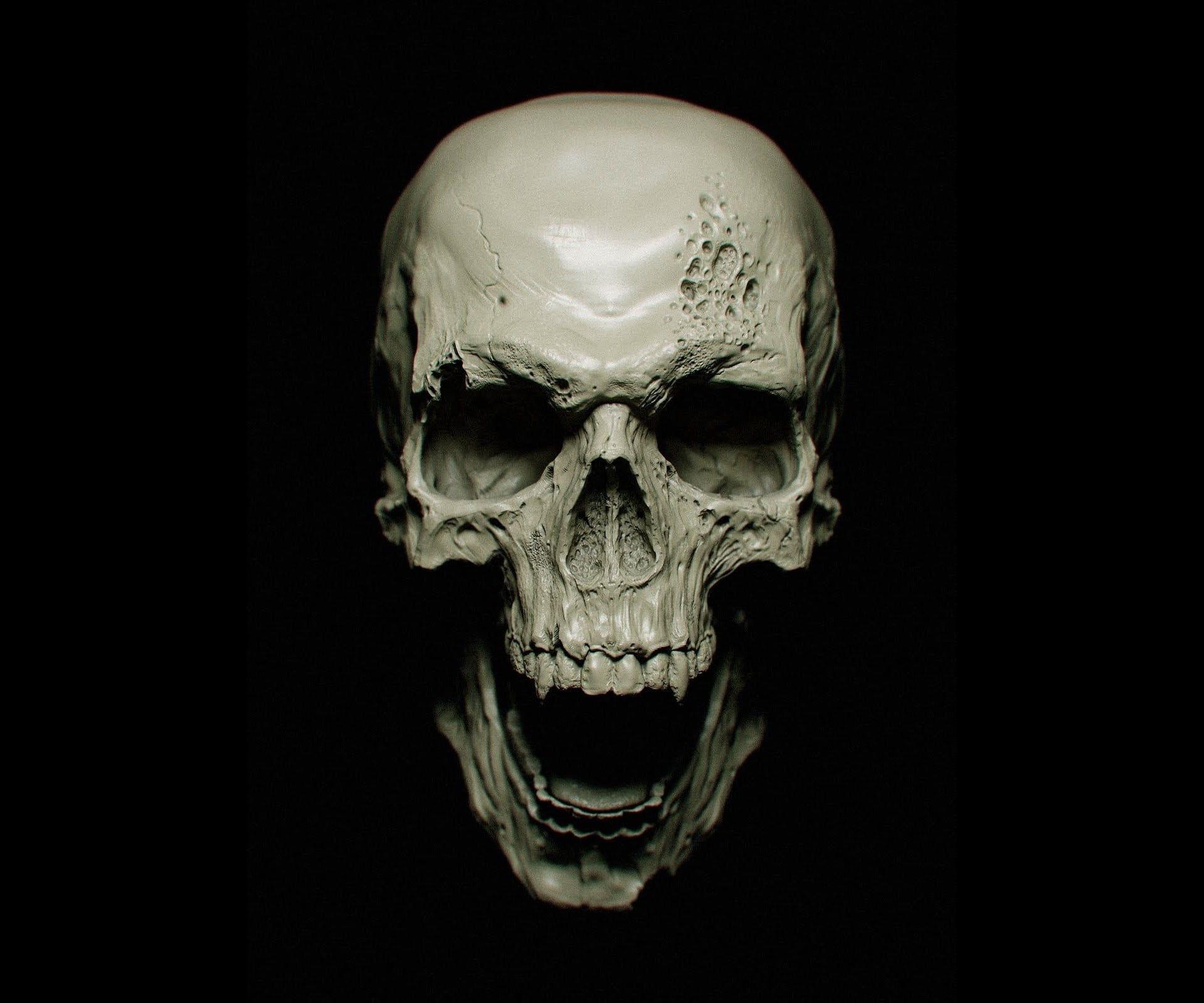 1920x1600 White human skull, dark, vampires, skull, black background HD