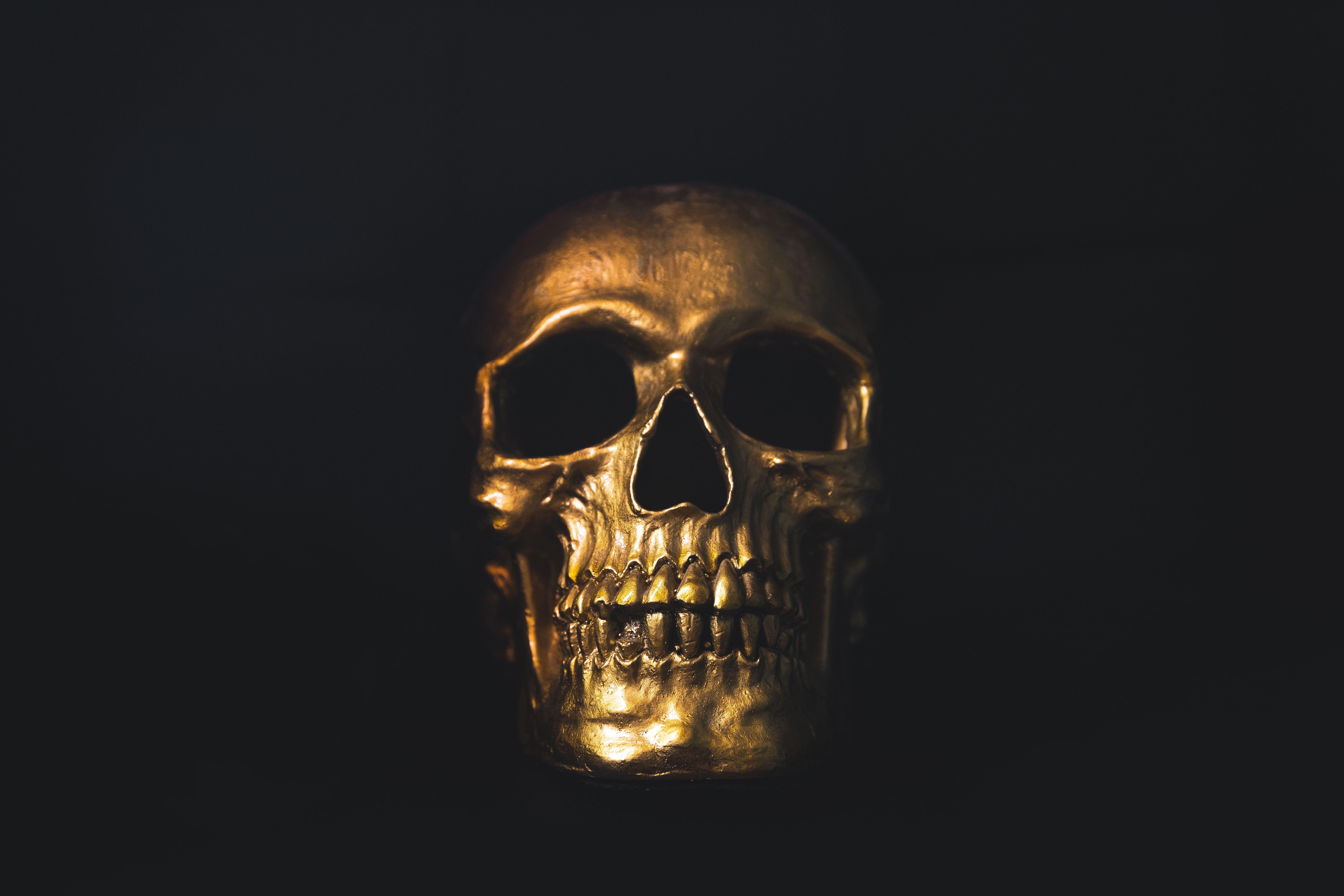 6720x4480 Skull Picture. Download Free Image