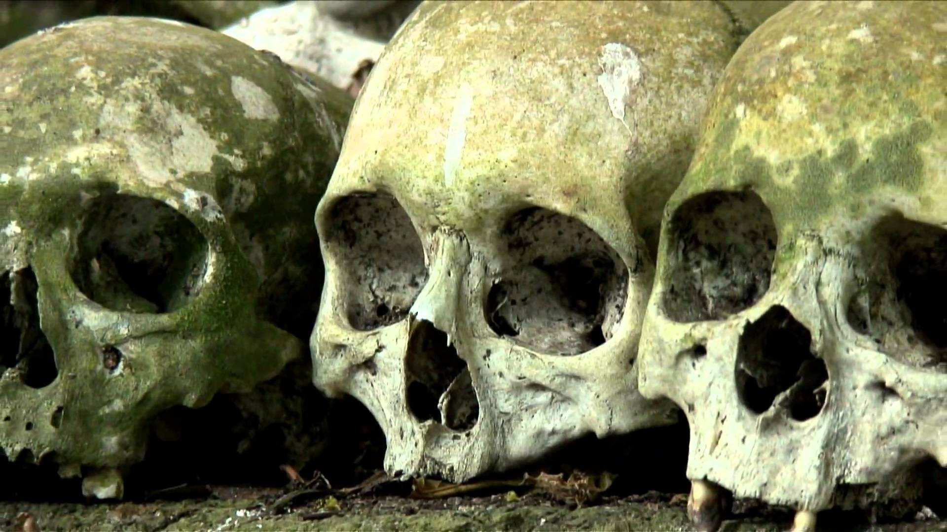1920x1080 PC Human Skull Wallpaper, Maybelle Field