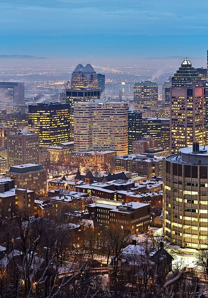 800x1145 Mount royal, montreal, skyscrapers Resolution, City, , and Background, Quebec, HD phone wallpaper