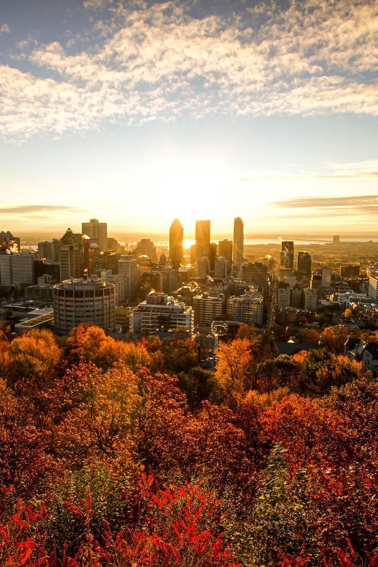 736x1104 Montreal's beautiful view city!
