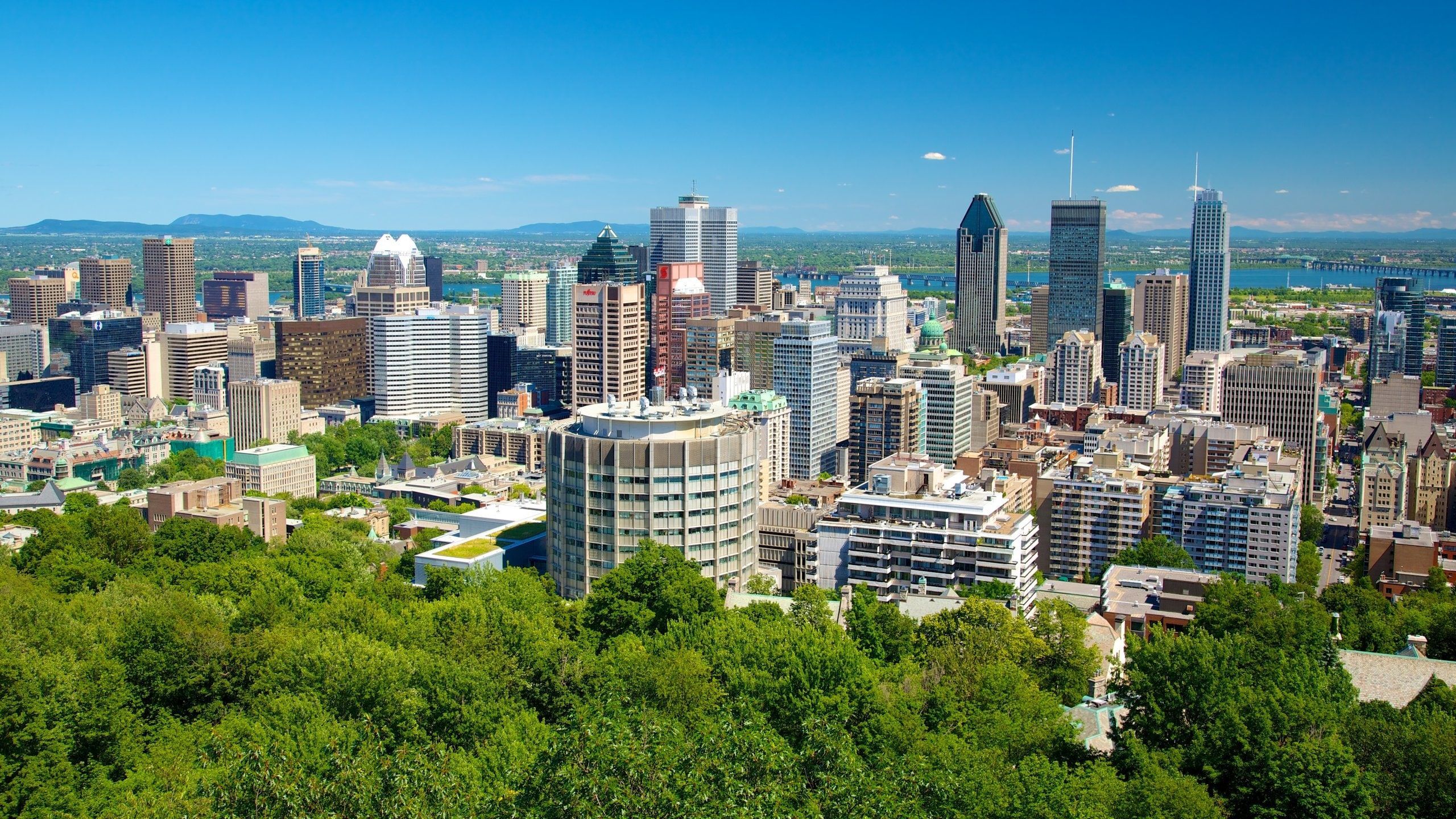 2560x1440 Mount Royal Park Tours