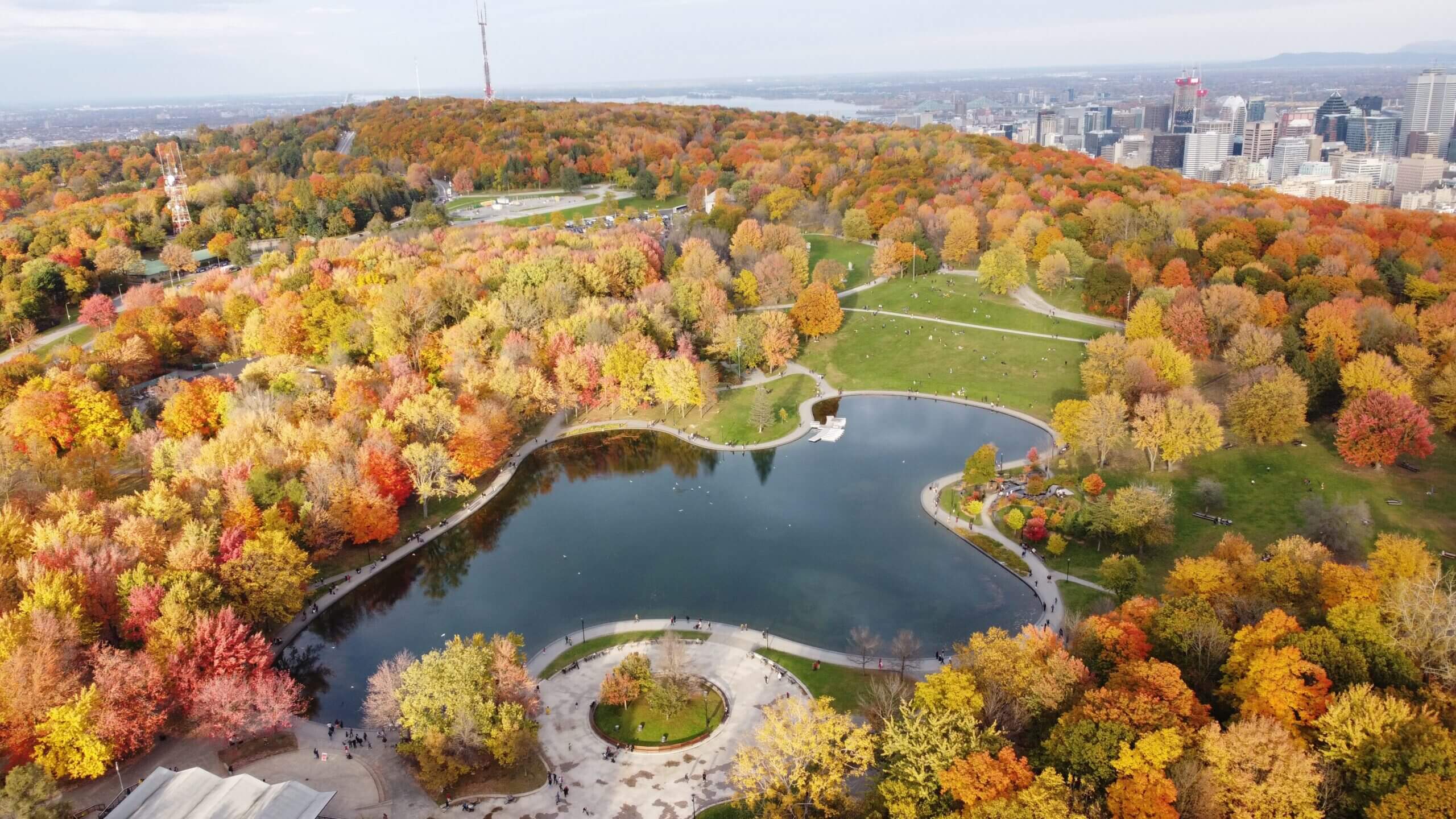 2560x1440 Montreal's Car Free Evolution Continues With Mount Royal Announcement