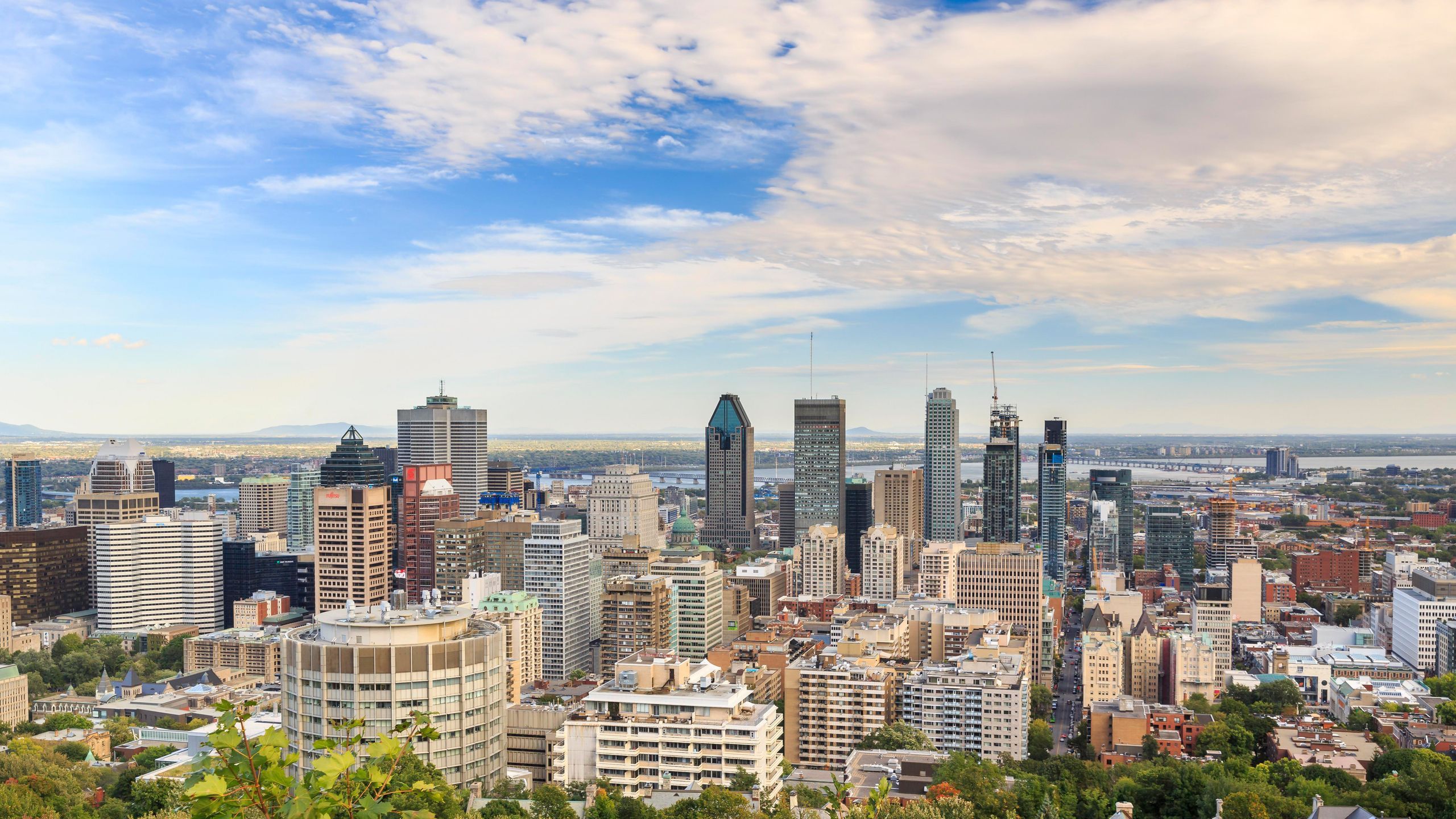2560x1440 Mount Royal