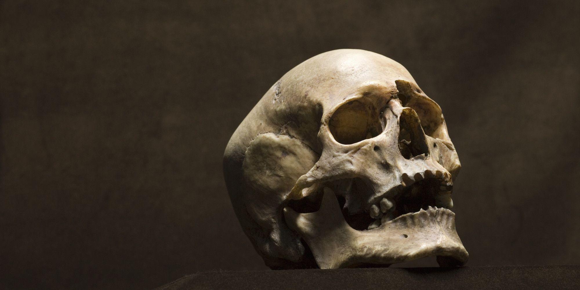 2000x1000 Bing Skull and Bone Wallpaper