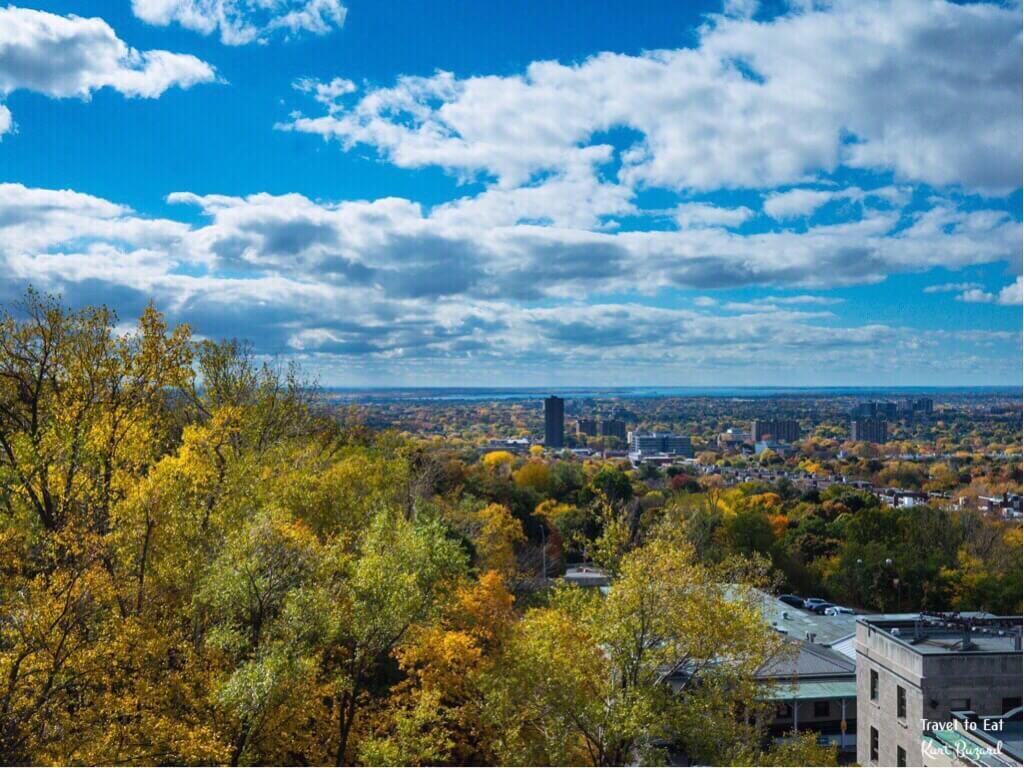 1024x768 Mount Royal in Montréal To Eat by Kurt Buzard MD