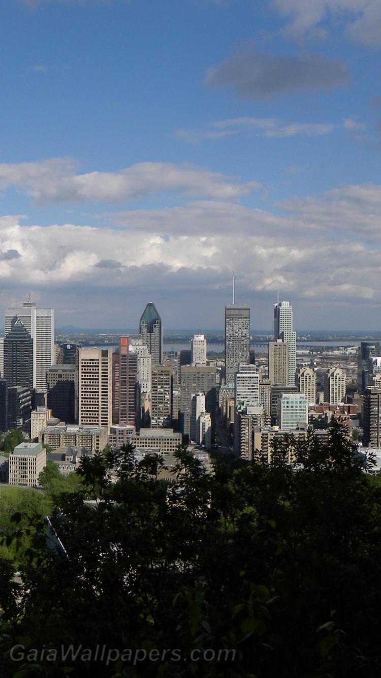 750x1334 Montreal downtown seen from Mount Royal wallpaper 750x1334 Desktop Wallpaper