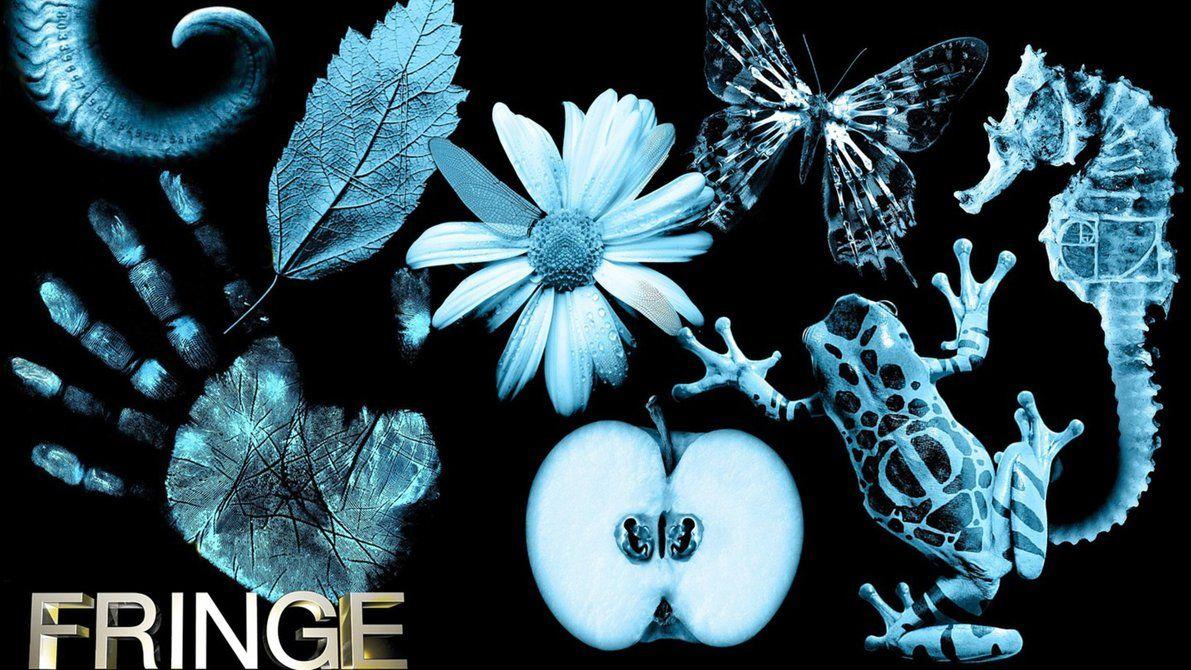 1191x670 Fringe Symbols