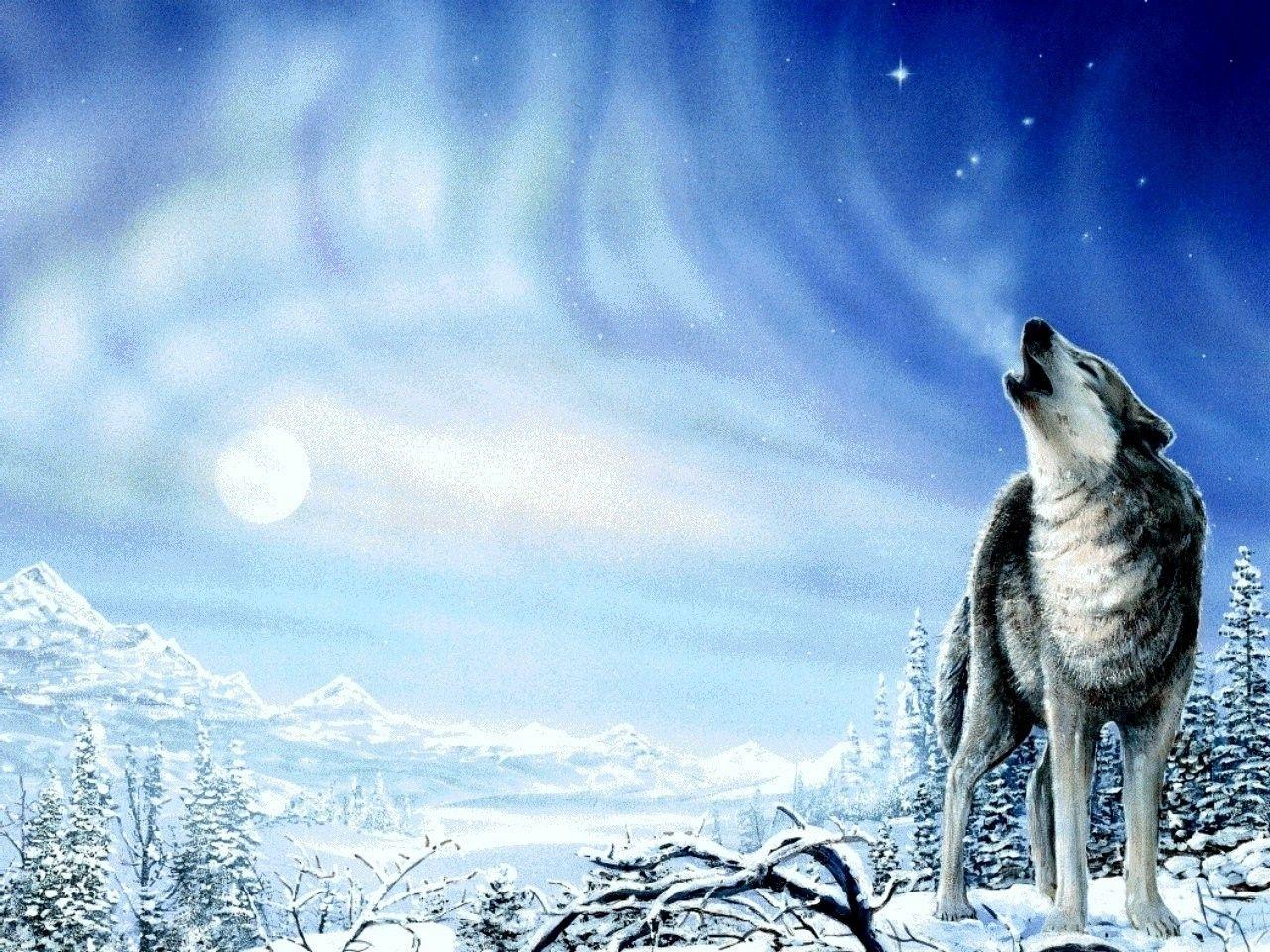 1280x960 Winter: WOLF SONG Sky Mountains Trees Howling Snow Winter Moon HD