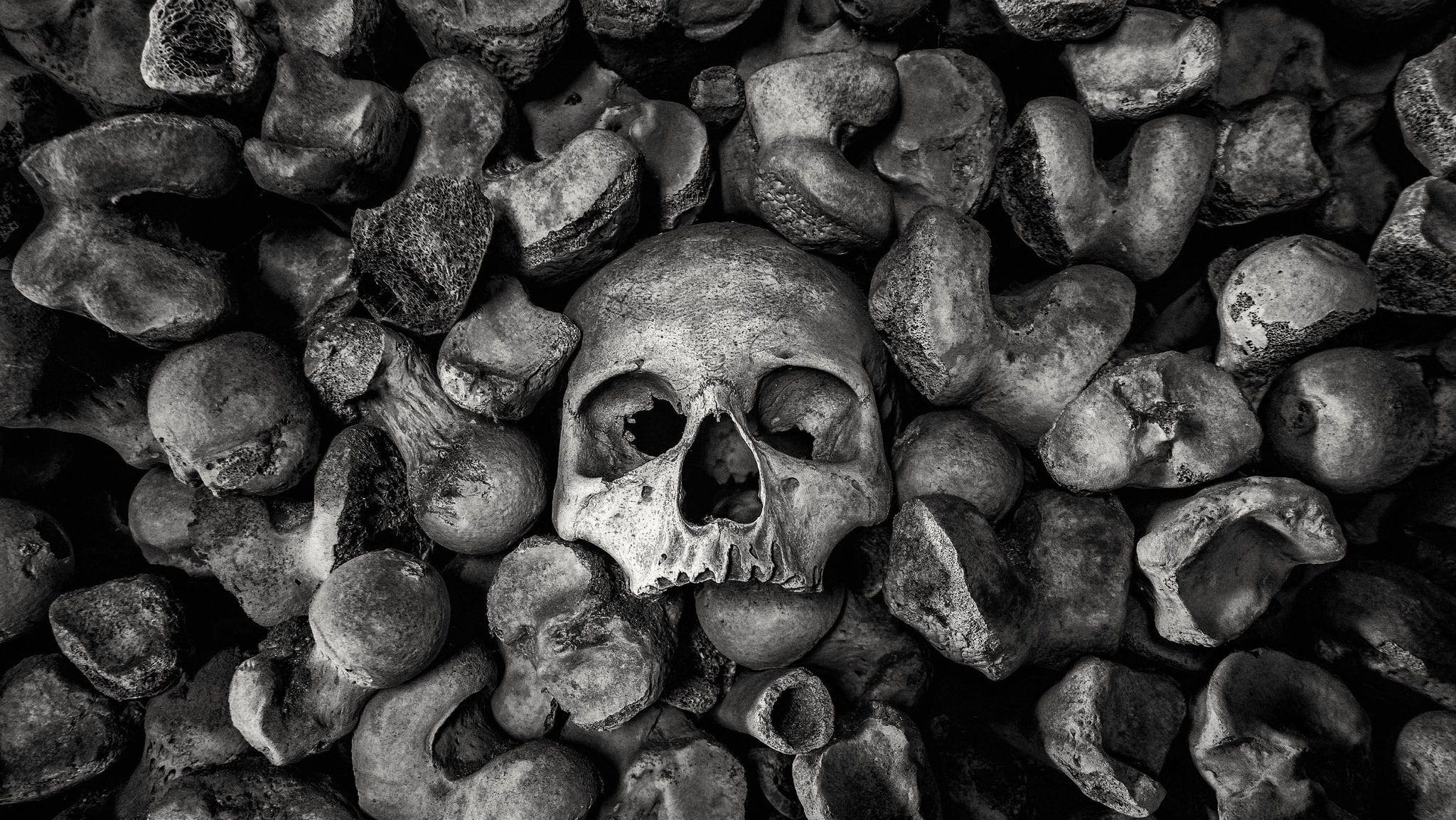 2048x1153 Monochrome, bones, skull, HD wallpaper