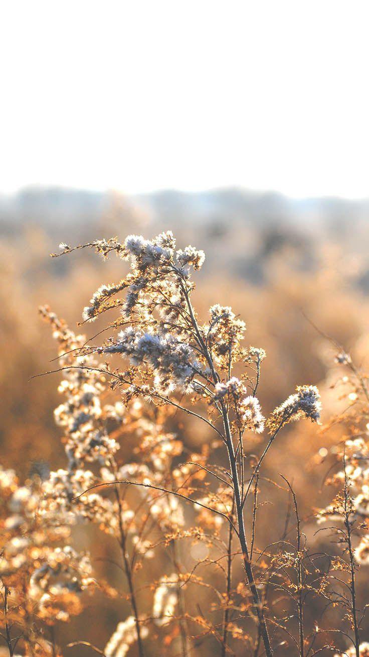 Relaxing iPhone Wallpapers - Top Free Relaxing iPhone Backgrounds