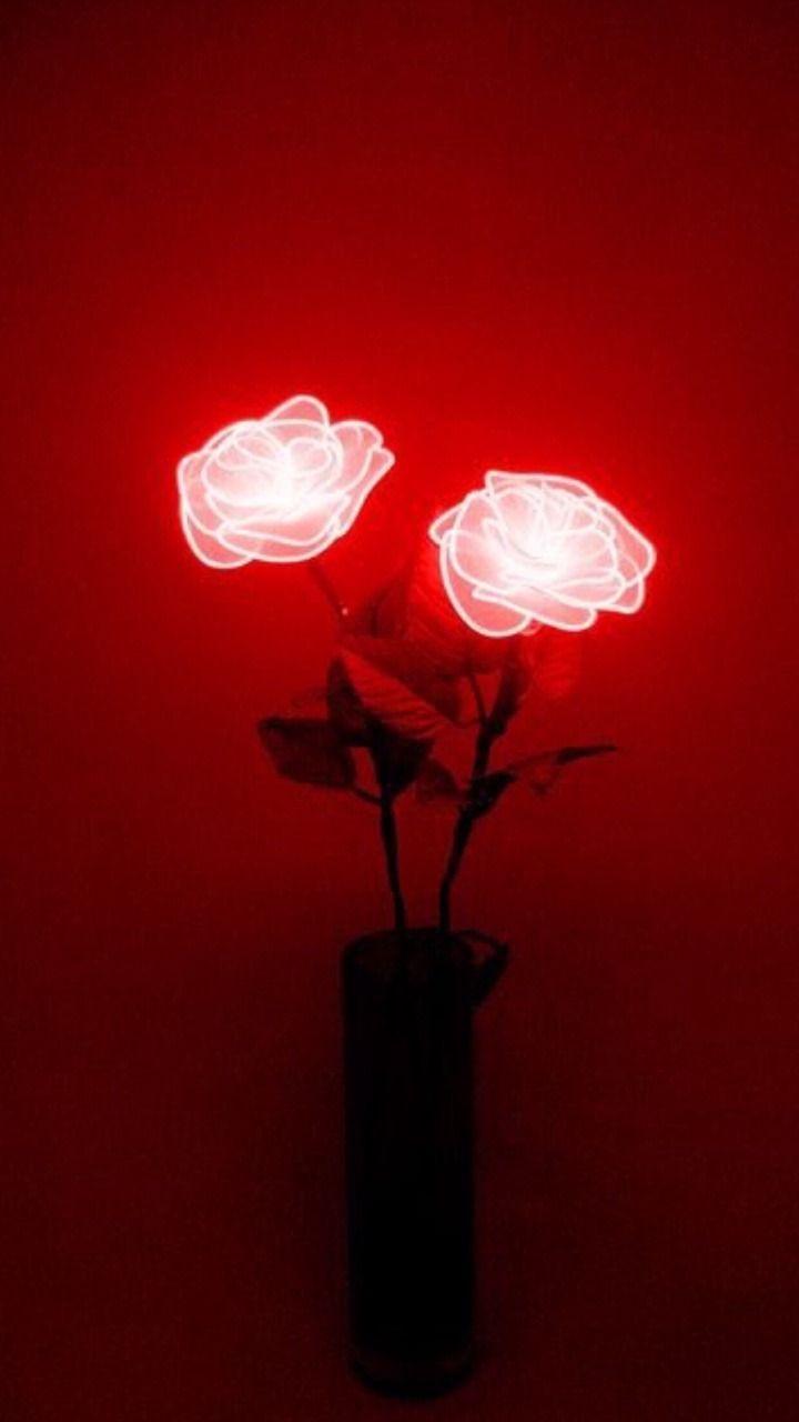 Hình nền thẩm mỹ hoa đỏ 720x1280 https://wallpaperaccess.com/full/2506763.jpg