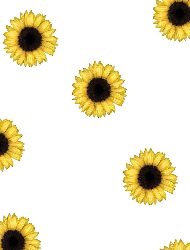 Sunflower Drawing Wallpapers - Top Free Sunflower Drawing Backgrounds ...