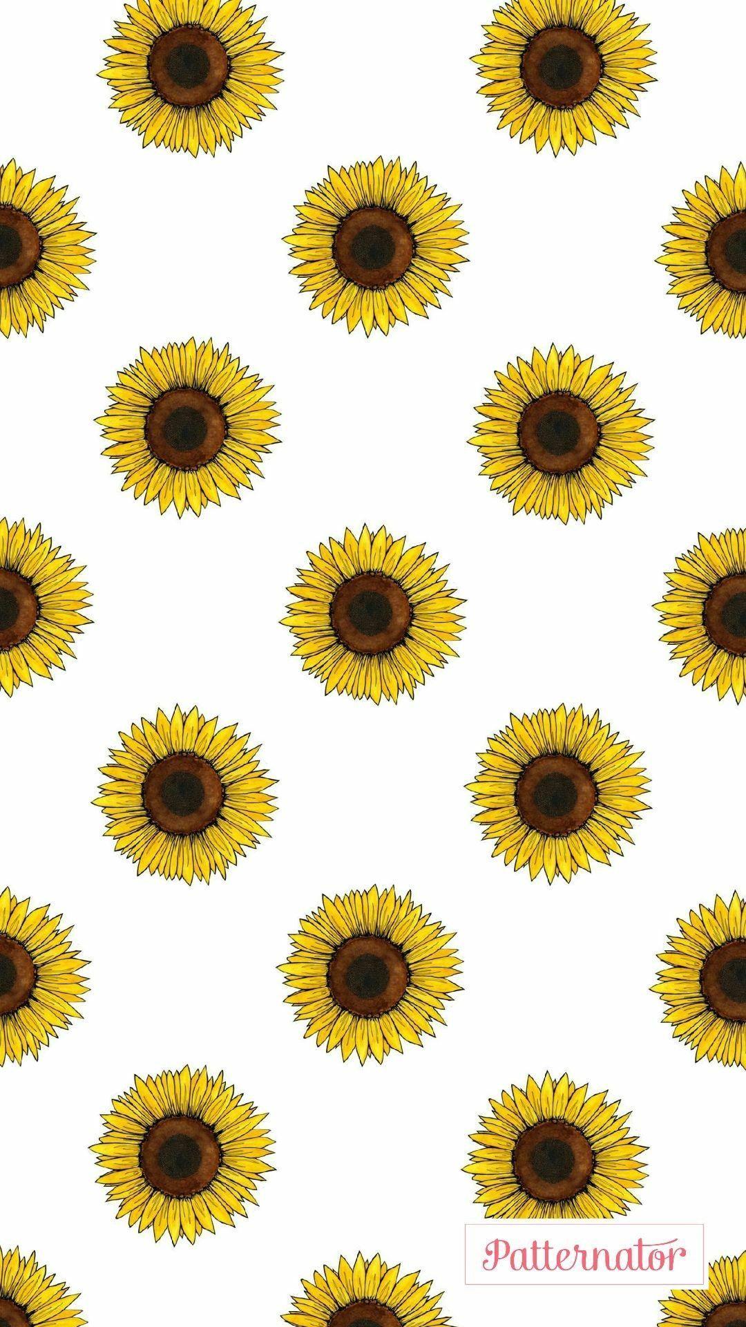 Sunflower Drawing Wallpapers Top Free Sunflower Drawing