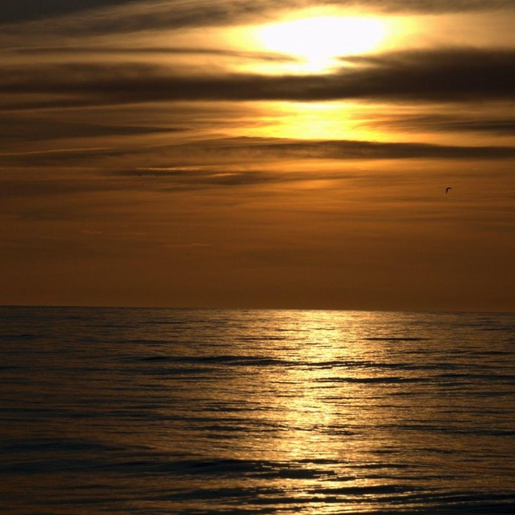 1024x1024 Dark Sunset Beach iPad Wallpaper Free Download