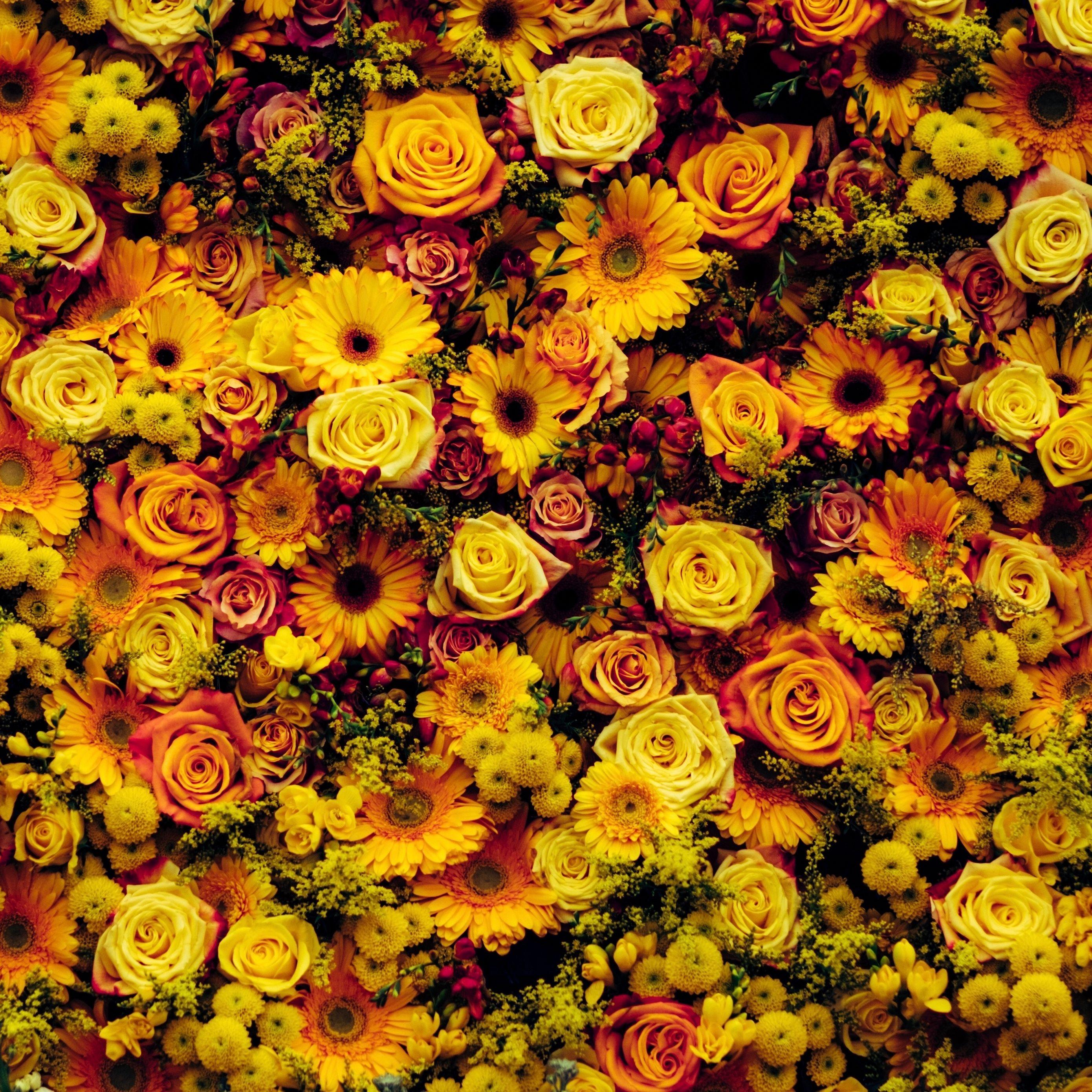 Floral iPad Wallpapers - Top Free Floral iPad Backgrounds - WallpaperAccess
