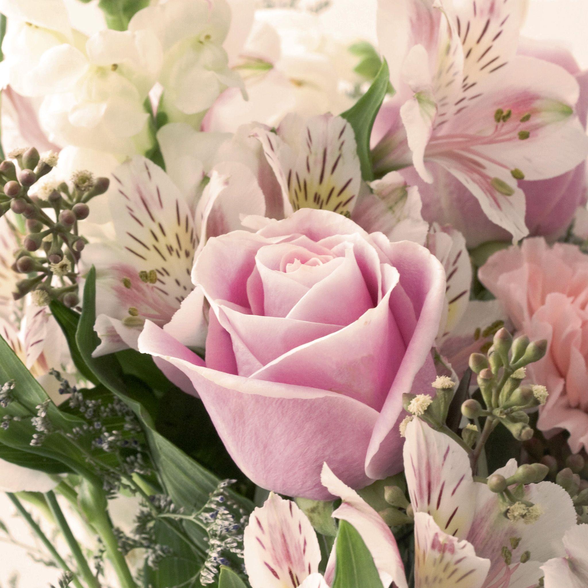 2048x2048 Pastel Rose Bouquet iPad Air Wallpaper Free Download