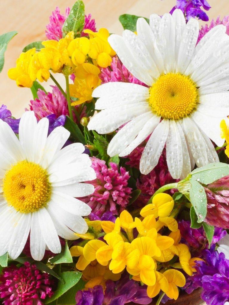768x1024 Summer Fresh Flowers iPad wallpaper