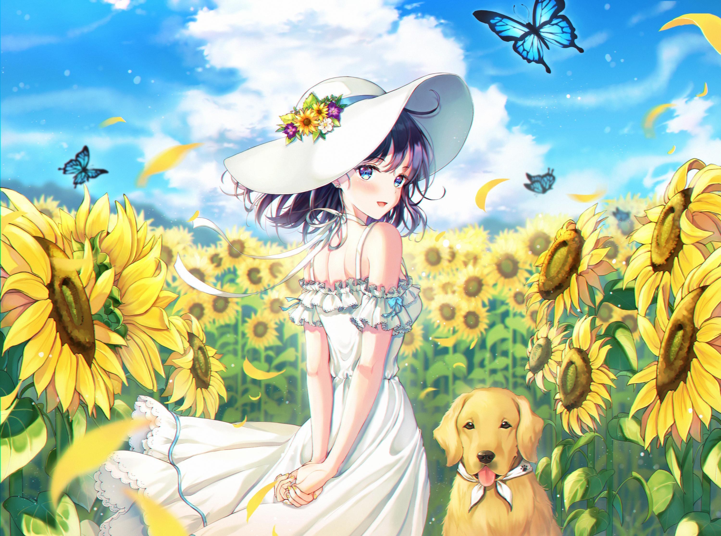 Anime Sunflower Wallpapers - Top Free Anime Sunflower Backgrounds