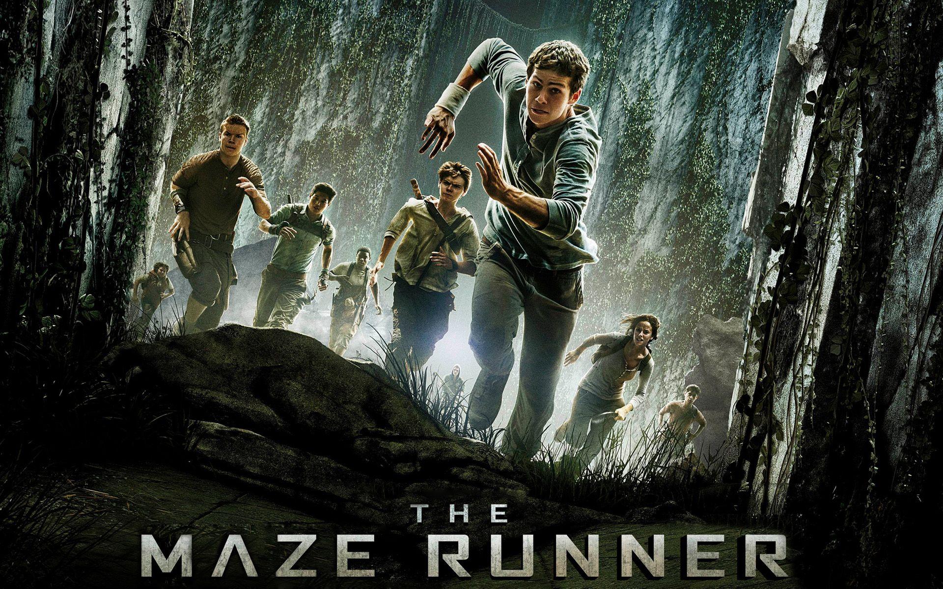1920x1200 Free download 2014 The Maze Runner Movie Exclusive HD Wallpaper